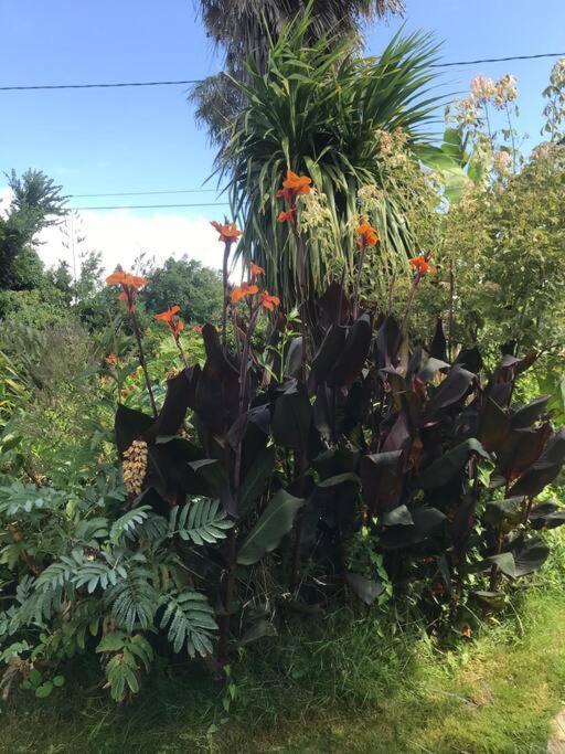 Ballade A Pied De La Ria - Walk From The Door Holiday home Belz